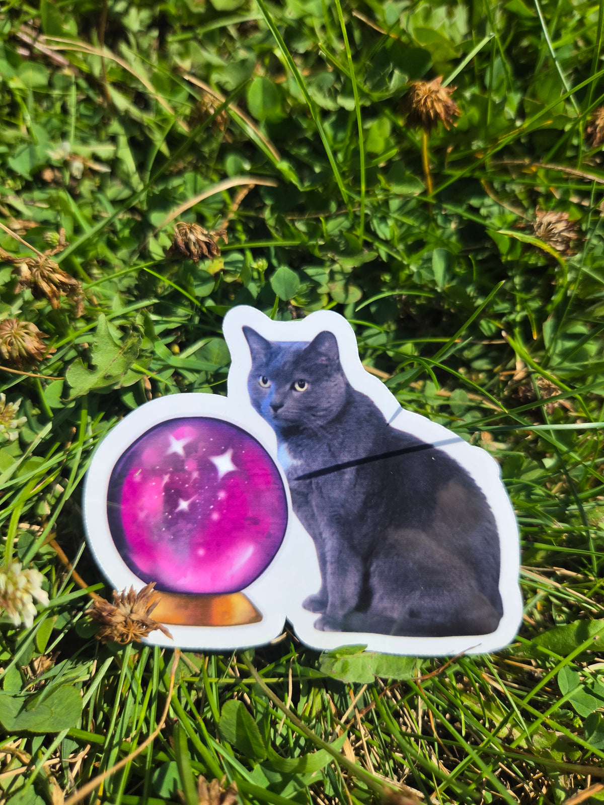 Custom Sticker/Magnet Sheet
