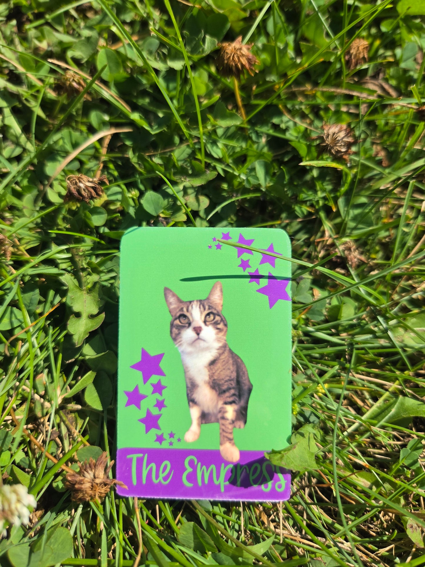 Custom Sticker/Magnet Sheet